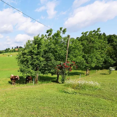 Holiday home Unique House With Panoramic View On Ravnik