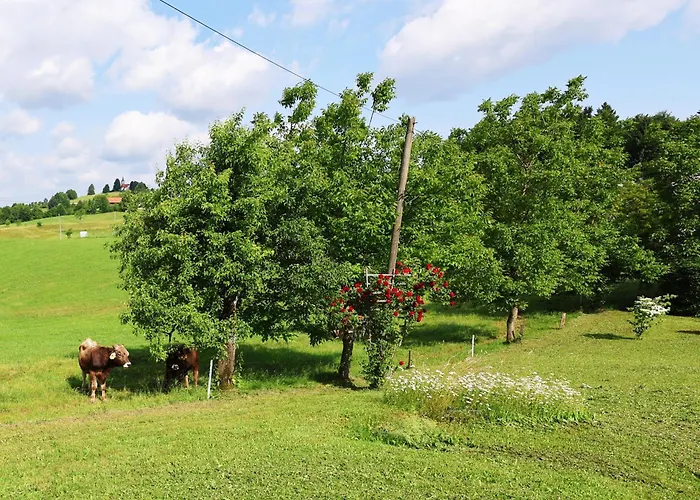 Casa vacanze Unique House With Panoramic View On Ravnik